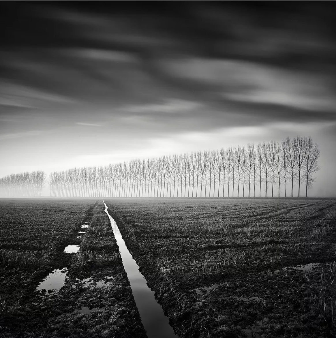 Pierre Pellegrini