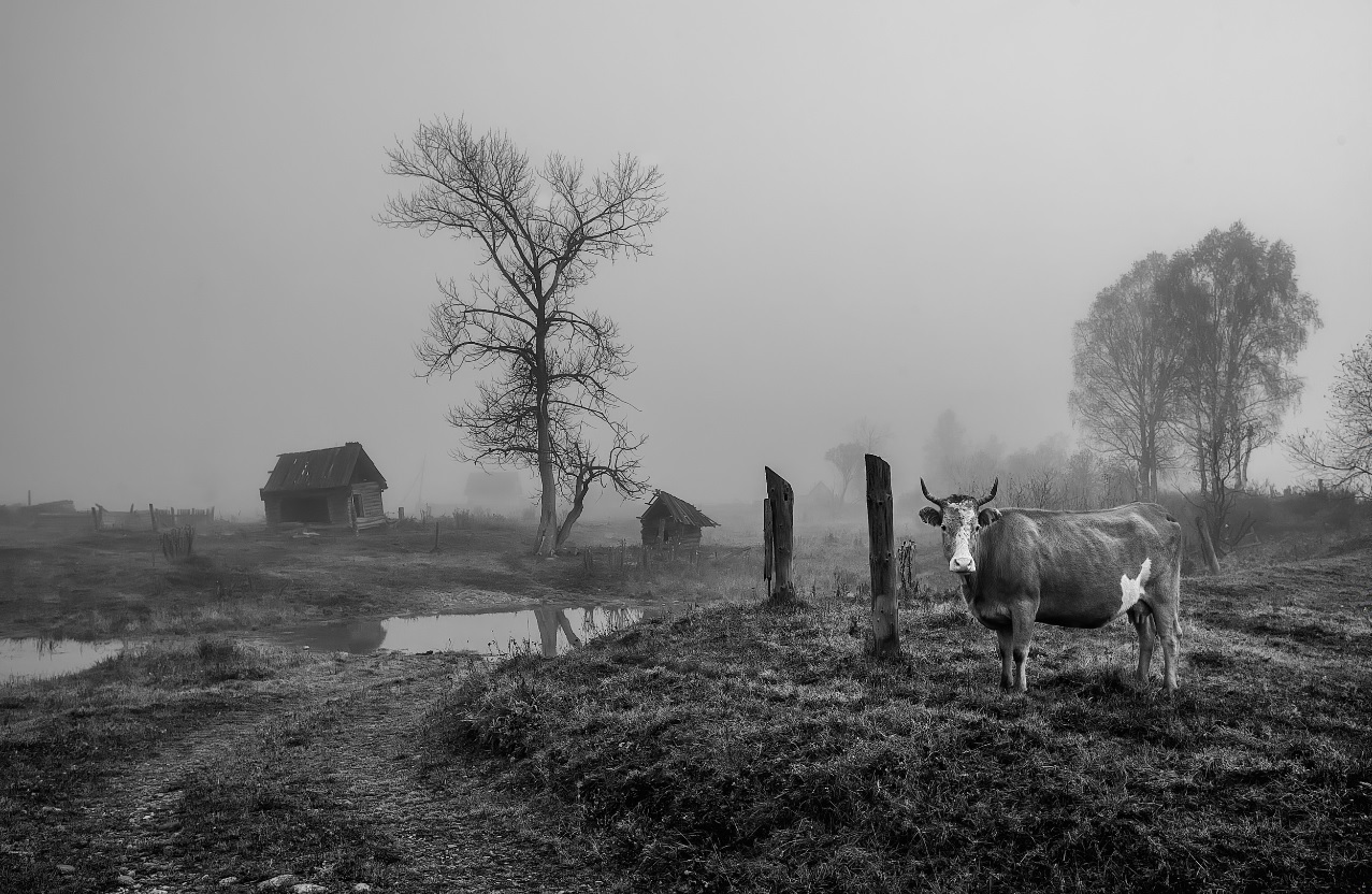 Conto de João Ricardo Lopes, com fotografia de